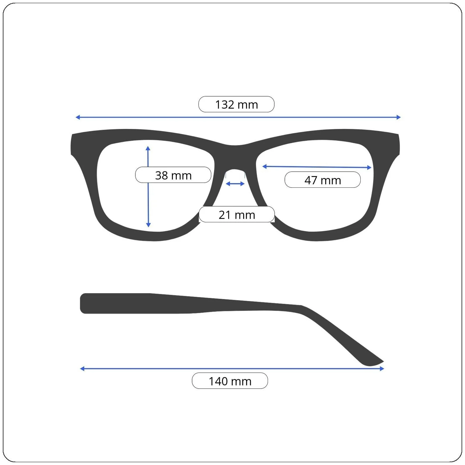 Seraphin ROLLINS 8118 Brown Birch Round Pantos Unisex Eyeglasses 47-21-140 JAPAN 2